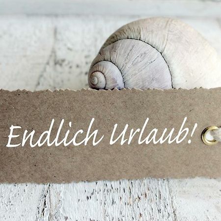 Ferienwohnung Muschelsucher Boltenhagen  Exterior foto